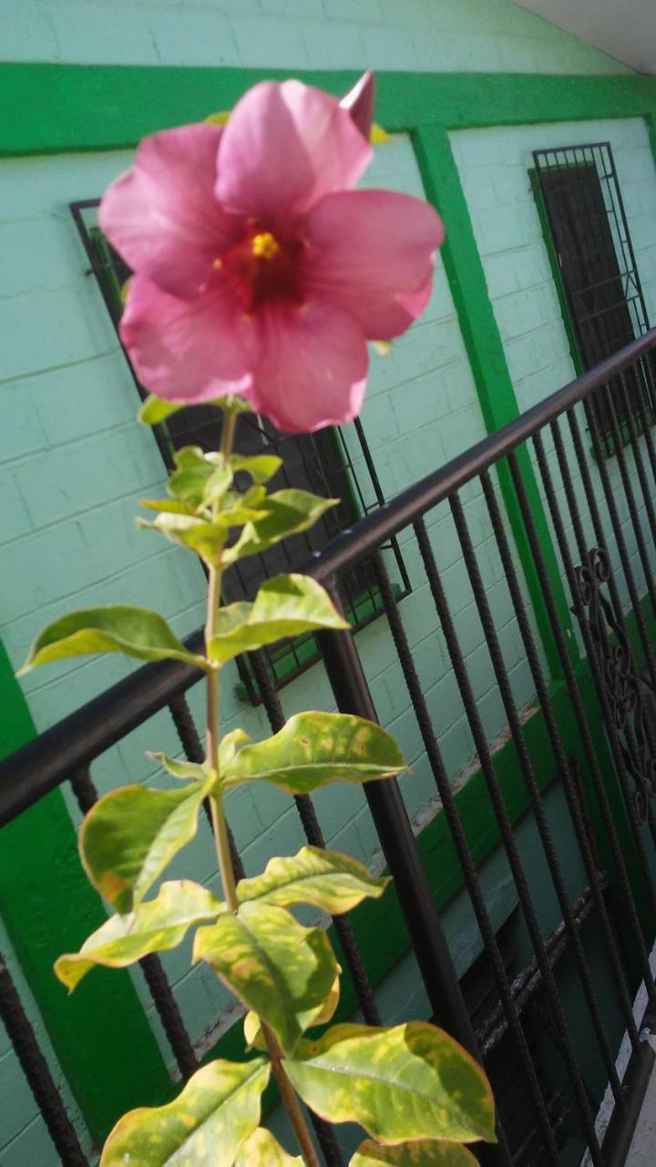 Don Santiago Guesthouse Downtown San Ignacio Exterior foto